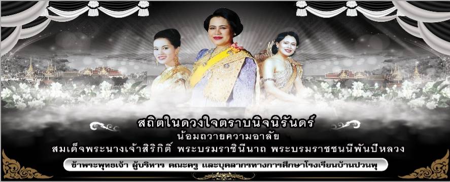 เว็บไซต์โรงเรียนบ้านปวนพุ